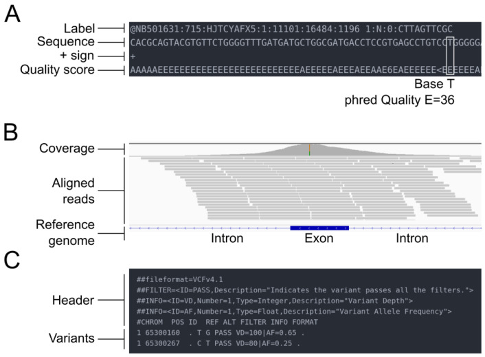 Overview of FASTQ, SAM/BAM, and VCF file format structures