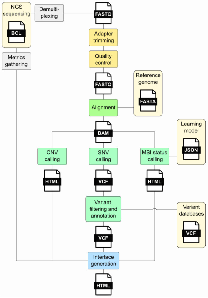 NGS bioinformatics pipeline workflow showing FASTQ processing, alignment to BAM, and variant calling to VCF